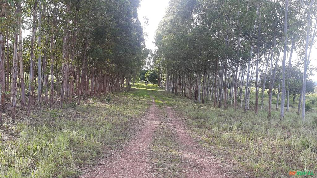Fazenda na Regiao Chapada de Natividade To em Chapada da 781818