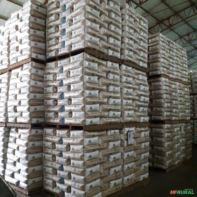 Sacarias Big Bags em Curitiba PR à venda. Compre direto 632764