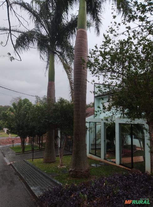 Ativar Windows 11 Via Powershell Command Prompt Irm no Paraná