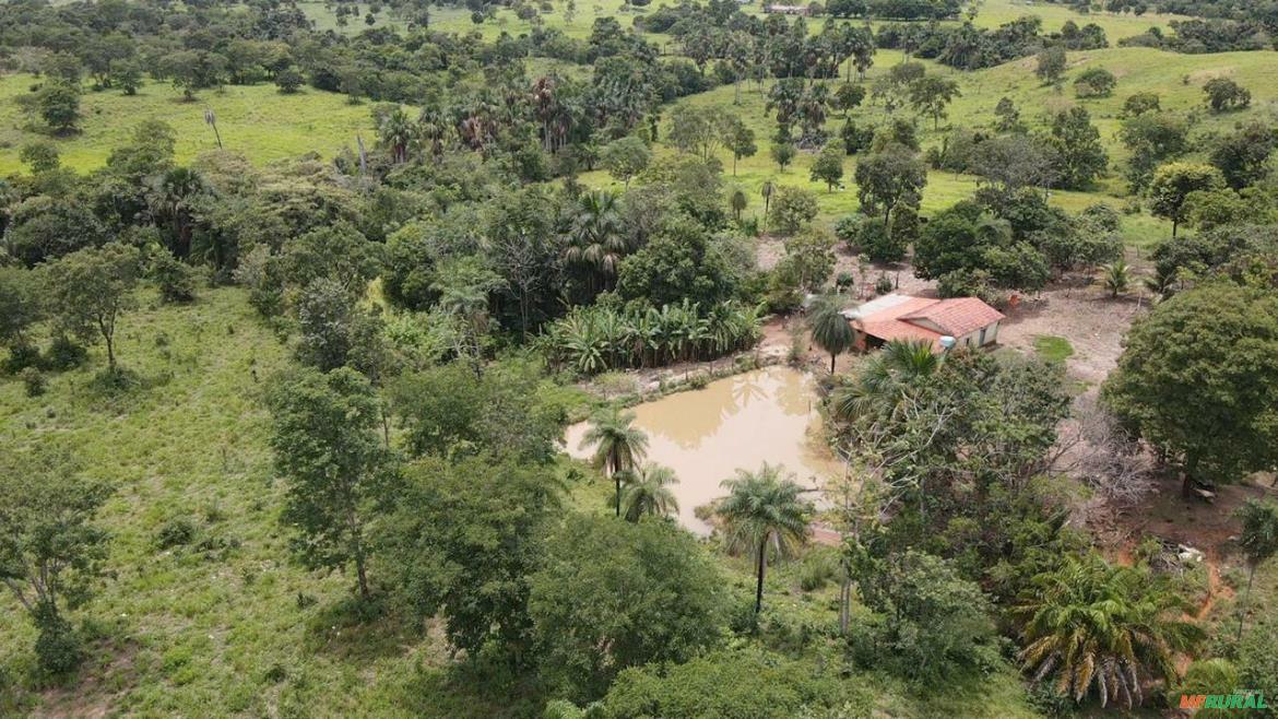 Venda Paraiso | Preço Venda Compra - MF Rural
