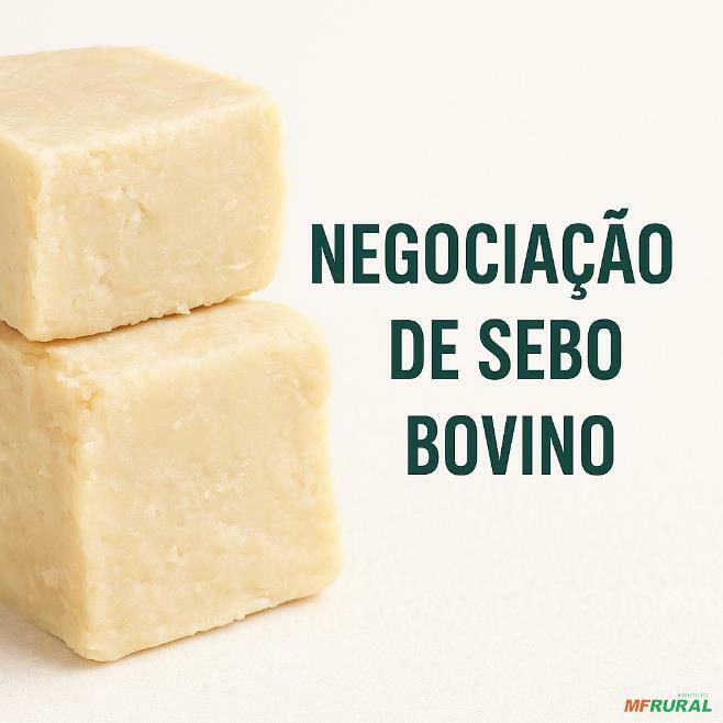 Sebo Rate Sebo Industrial | Preço Venda Compra - MF Rural