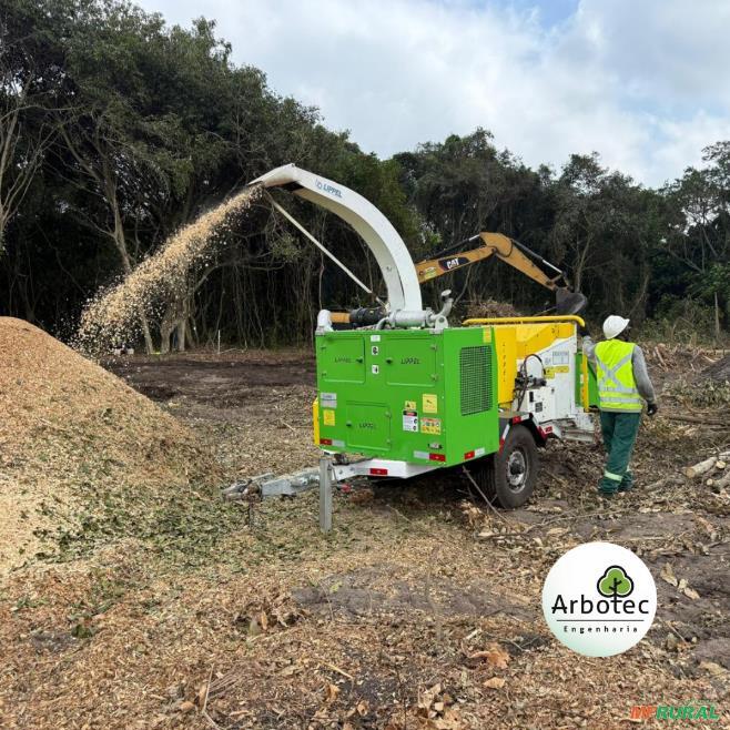 Triturador Lippel - Serviços | Preço Venda Compra - MF Rural