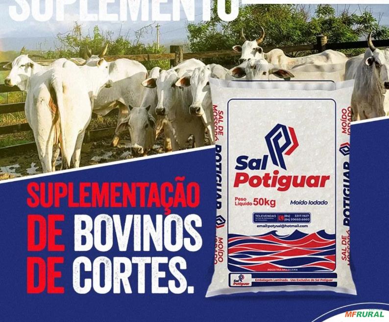 Sal Para Gado Potiguar em Mossoró RN à venda. Compre direto 671615 Sal Para Gado Potiguar em Mossoró RN à venda. Compre direto 671615