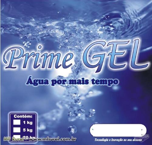 gel promesa review
