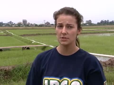 Imagem ESPANTA PÁSSAROS E ANIMAIS SILVESTRES