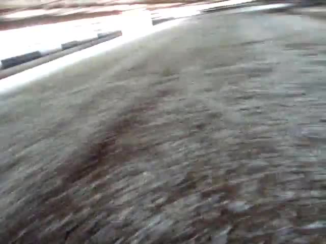 Imagem Carrinho Queimador de Penas para Aviário